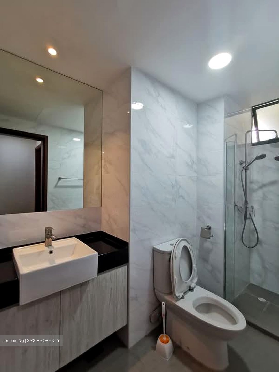 Signature Park (D21), Condominium #554544821